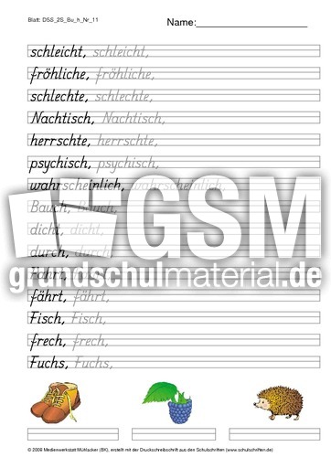 DSS_2S_Bu_h_Nr_11.pdf